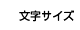 文字の大きさ